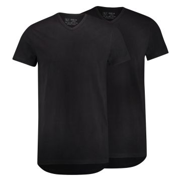 Gouda Heren T-Shirt V-Hals 2-Pack